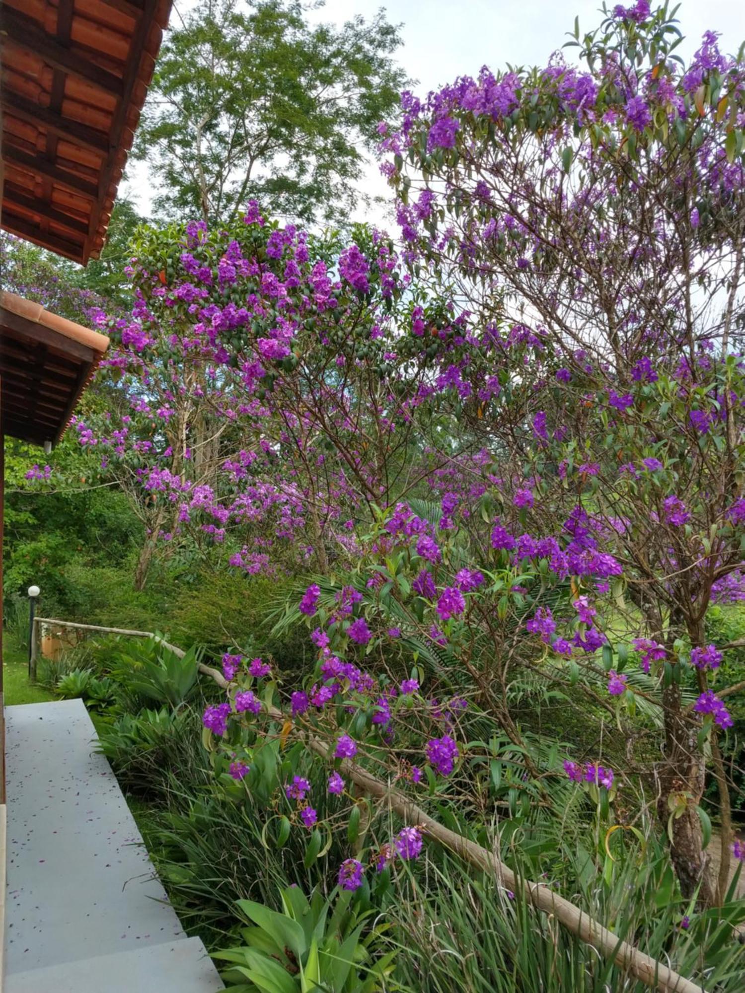 Pousada Colar De Ouro กุนญา ภายนอก รูปภาพ