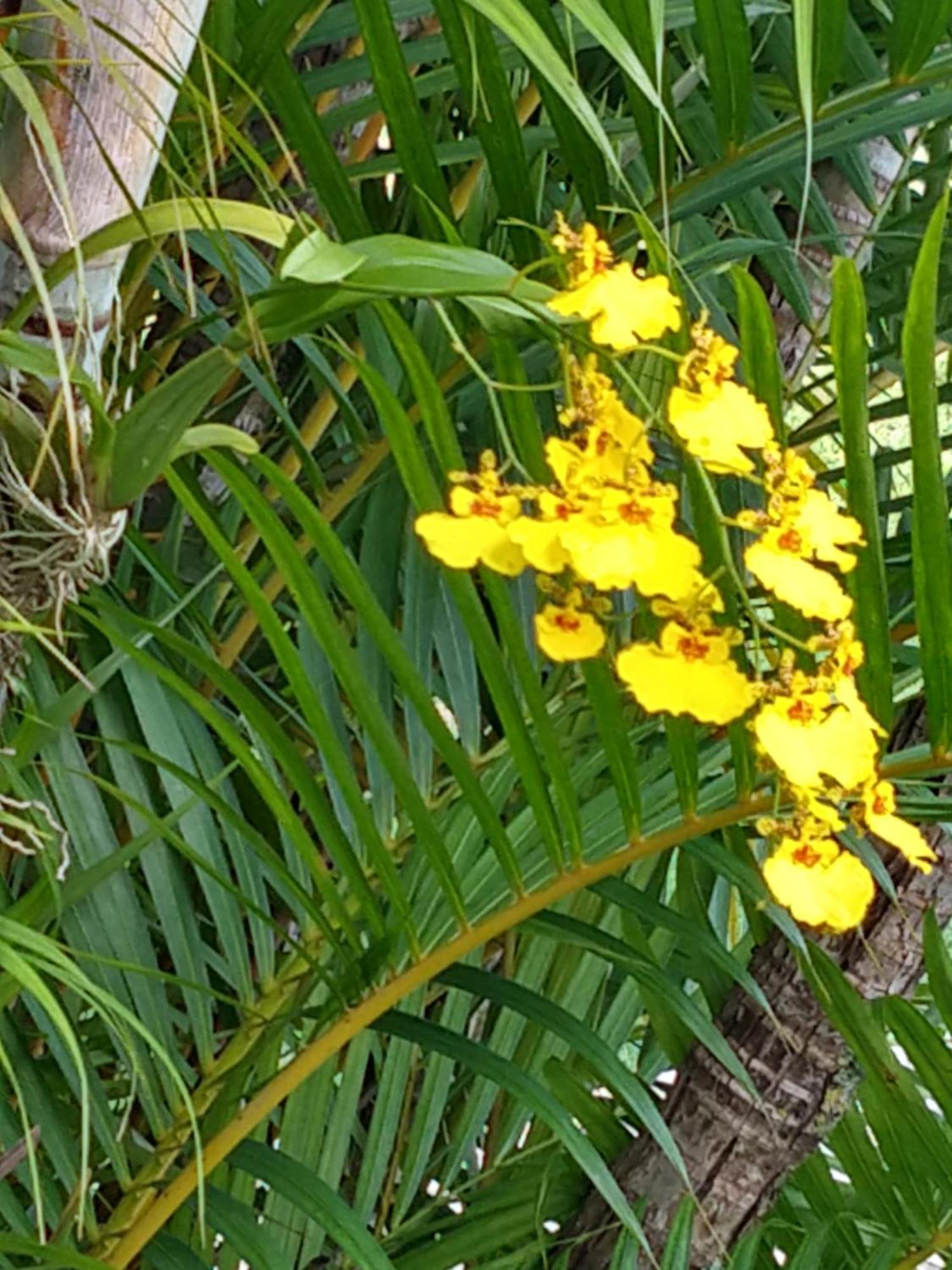 Pousada Colar De Ouro กุนญา ภายนอก รูปภาพ