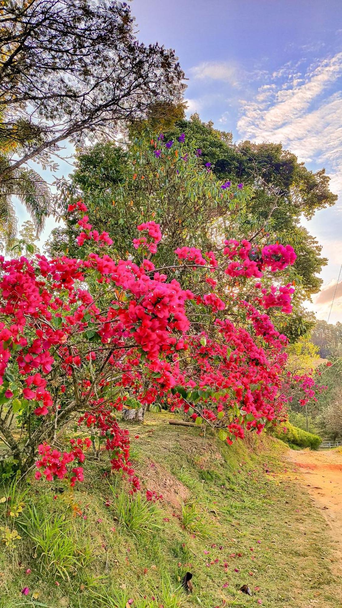 Pousada Colar De Ouro กุนญา ภายนอก รูปภาพ